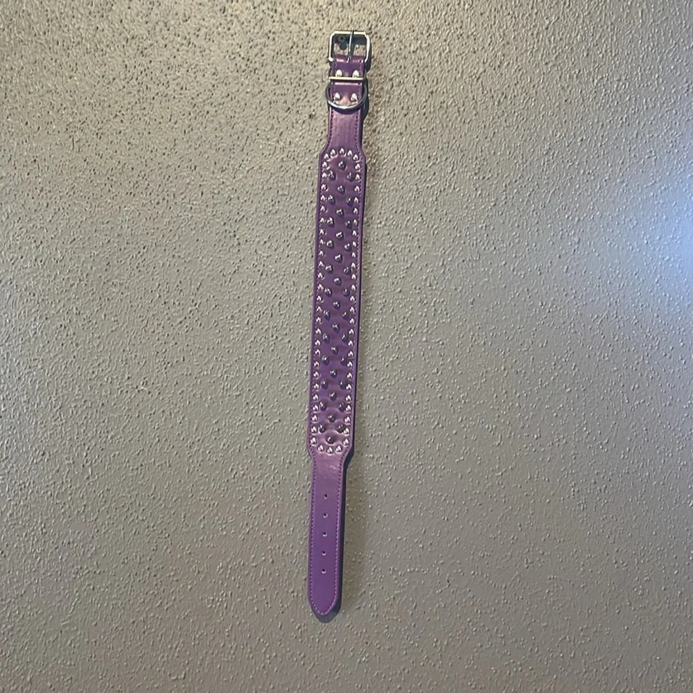 Dogs Purple Spiked Studded Dog Collar